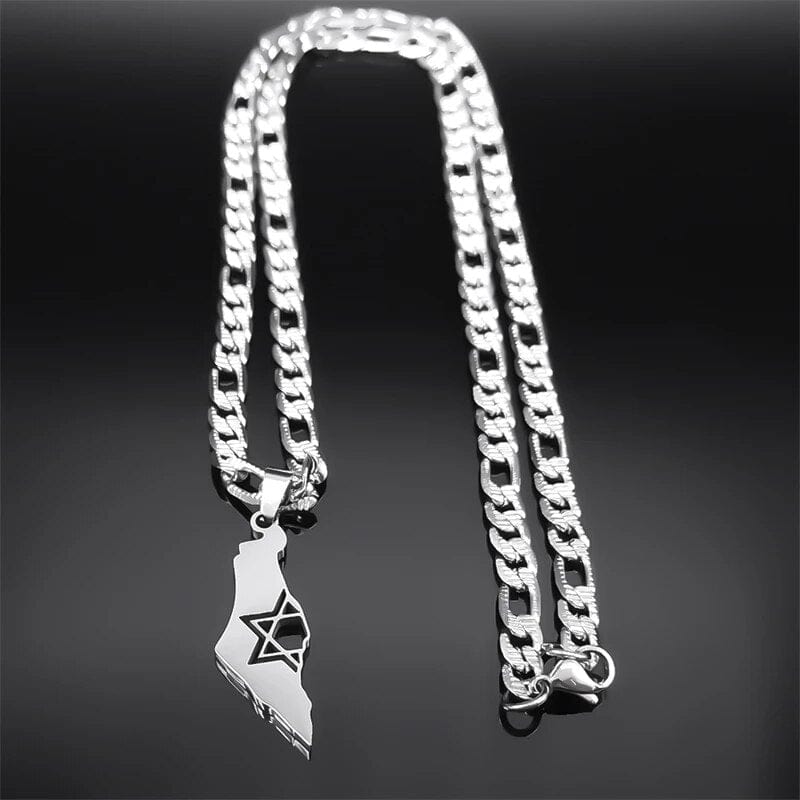 ALDO Jewelry Silver State of Israel with Star Of Davide Pendant Necklace
