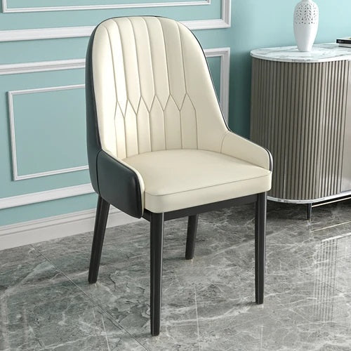 ALDO Chairs 1 Beautiful Modern Ergonomic Style Dining Chairs With Armrest