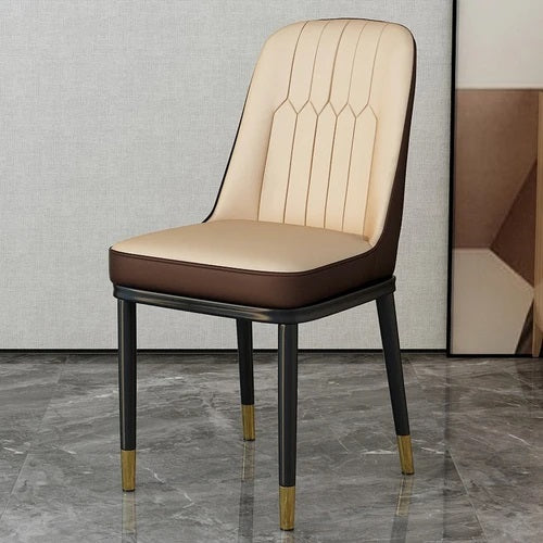 ALDO Chairs Beautiful Modern Ergonomic Style Dining Chairs