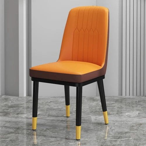 ALDO Chairs Beautiful Modern Ergonomic Style Dining Chairs