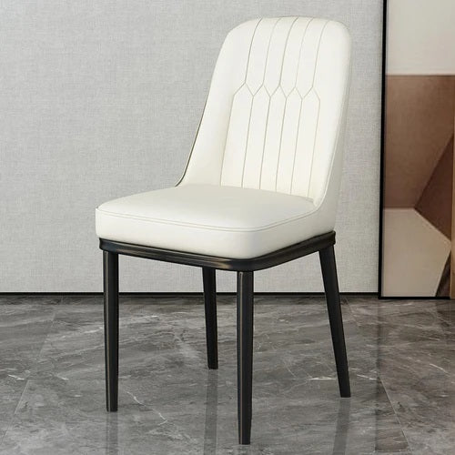 ALDO Chairs Beautiful Modern Ergonomic Style Dining Chairs