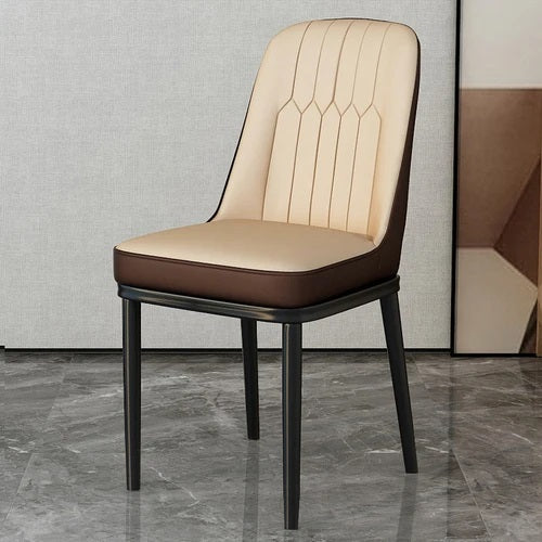 ALDO Chairs Beautiful Modern Ergonomic Style Dining Chairs