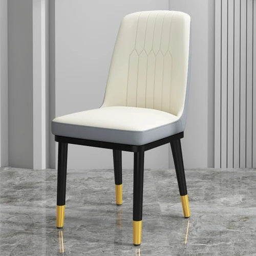 ALDO Chairs Beautiful Modern Ergonomic Style Dining Chairs