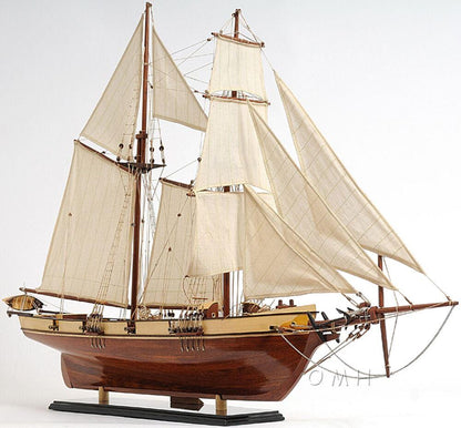 ALDO > Hobbies & Creative Arts> Collectibles> Scale Model Harvey Baltimore Clipper Tall Ship Large Wood Model Boat  Assembled