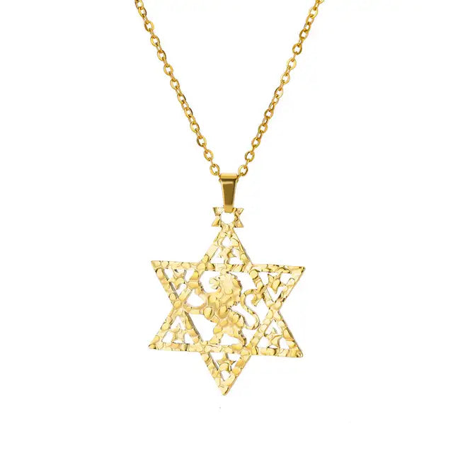 ALDO Jewelry Gold Plated Lion Star of David Amulet  Pendant Necklace  for Men and Women