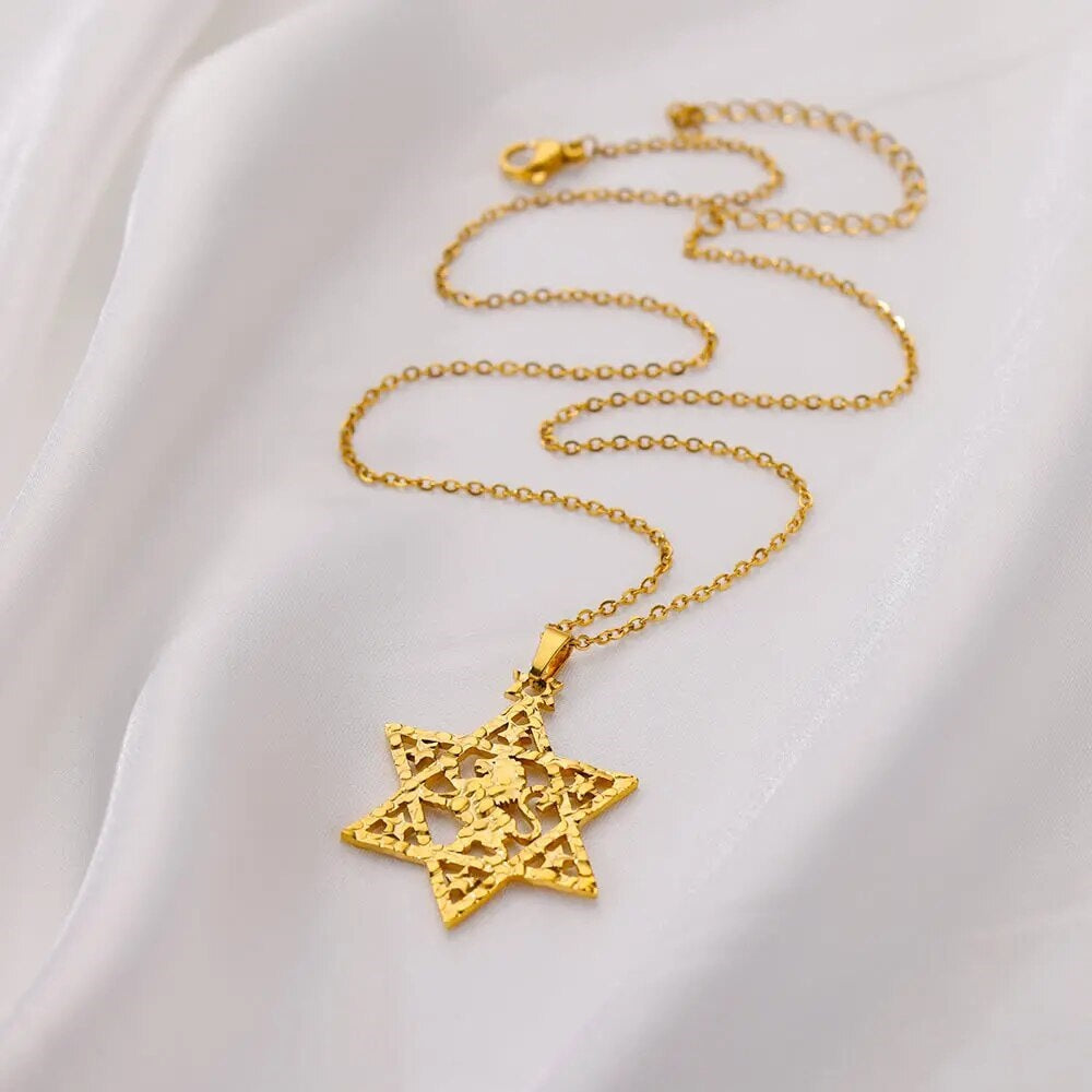 ALDO Jewelry Gold Plated Lion Star of David Amulet  Pendant Necklace  for Men and Women