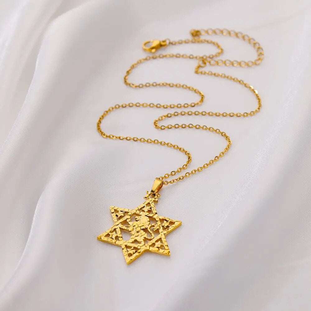 ALDO Jewelry Gold Plated Lion Star of David Amulet  Pendant Necklace  for Men and Women