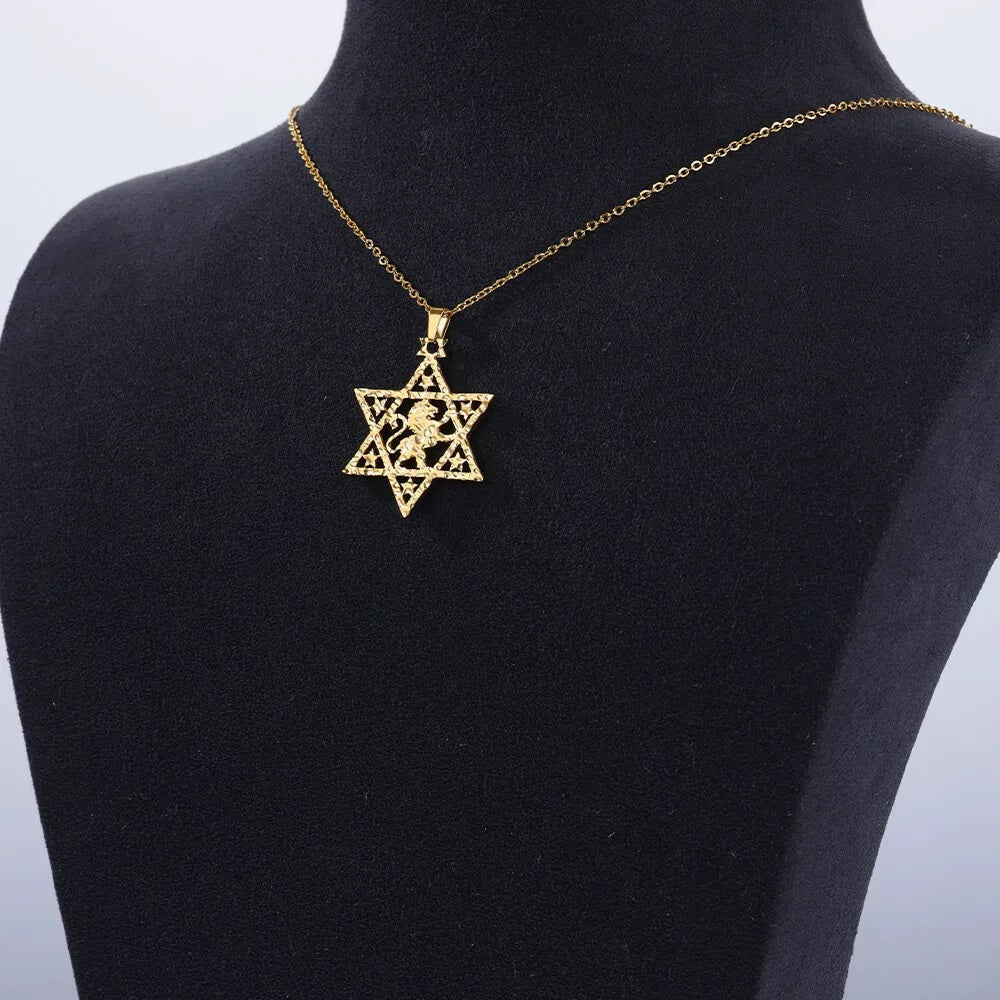 ALDO Jewelry Gold Plated Lion Star of David Amulet  Pendant Necklace  for Men and Women