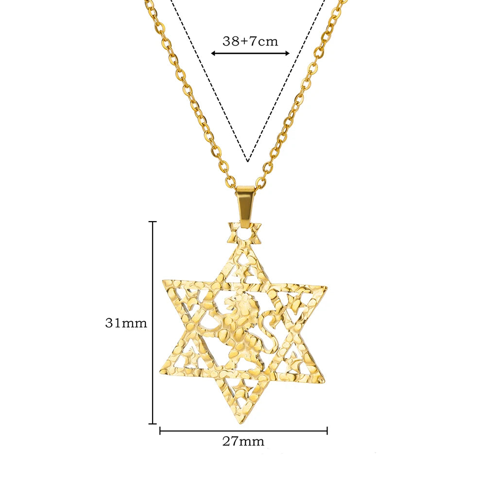 ALDO Jewelry Gold Plated Lion Star of David Amulet  Pendant Necklace  for Men and Women