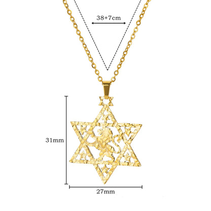 ALDO Jewelry Gold Plated Lion Star of David Amulet  Pendant Necklace  for Men and Women