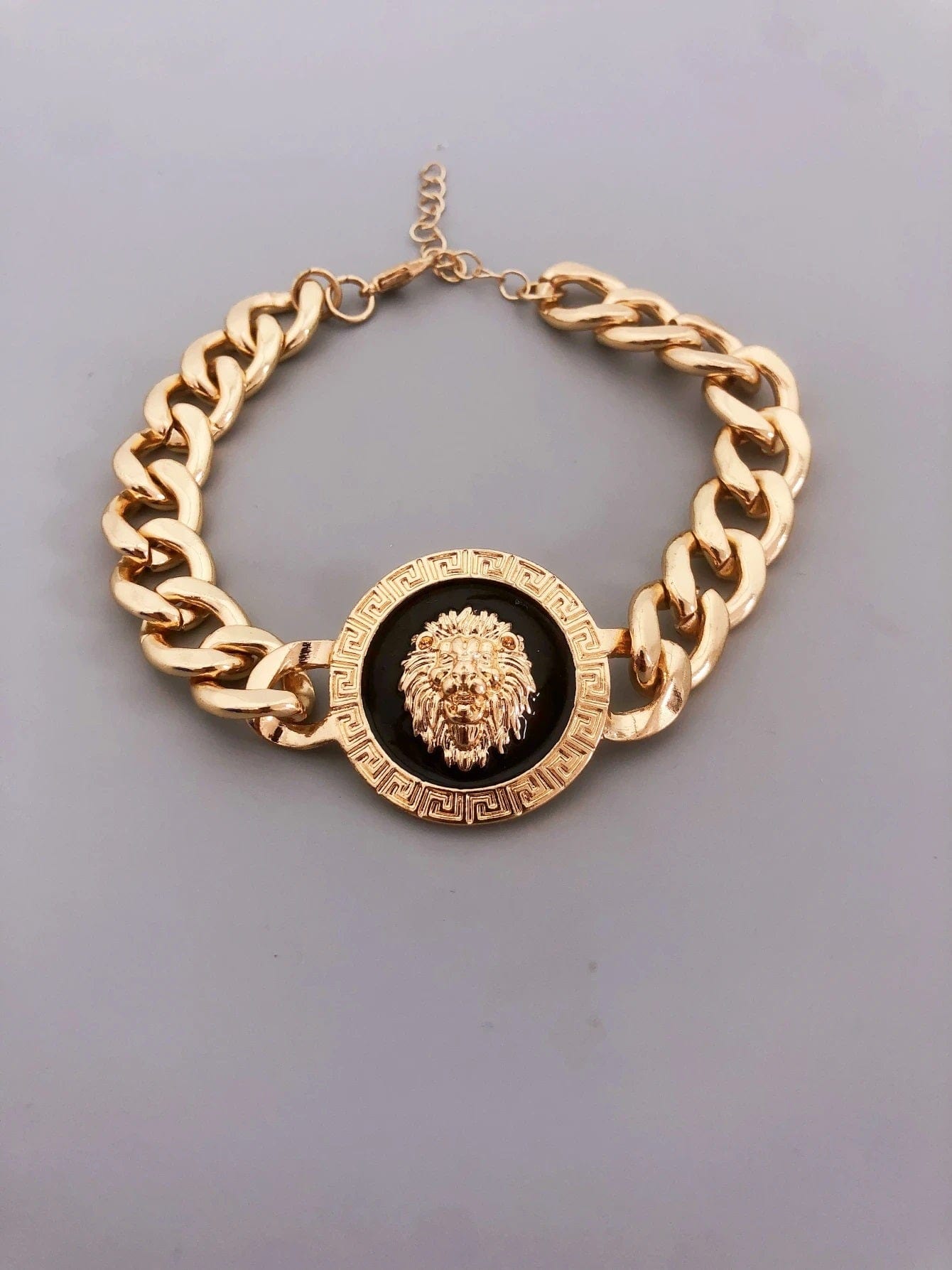 ALDO Jewelry Unique Gold Plated Lion Head Braided Bracelet for Men and Women Amulet  for Woman