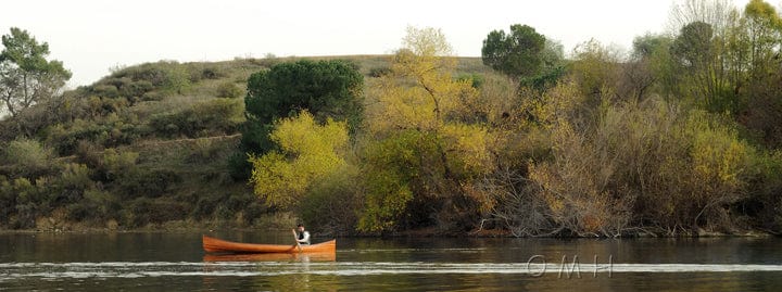 ALDO Kayaking, Canoeing & Rafting>Canoes L: 216 W: 35.5 H: 27 Inches / NEW / wood Real High Quality Canadian Cedar Canoe 18 feet